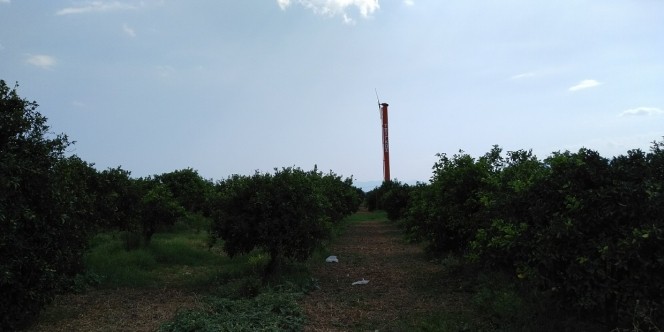 Αγροτεμάχια 15.000 τ.μ. πρός πώληση, Αργολίδα, Νέα Κίος