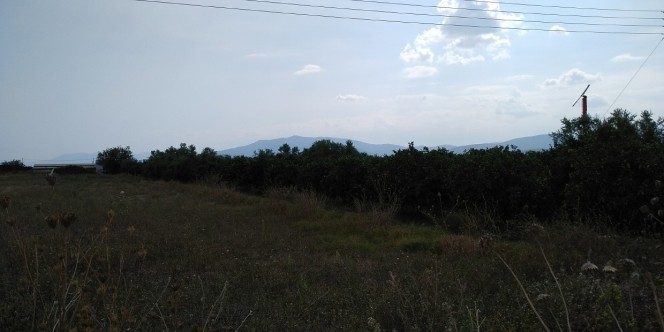 Αγροτεμάχια 15.000 τ.μ. πρός πώληση, Αργολίδα, Νέα Κίος