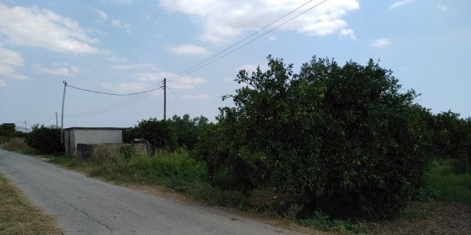 Αγροτεμάχια 15.000 τ.μ. πρός πώληση, Αργολίδα, Νέα Κίος