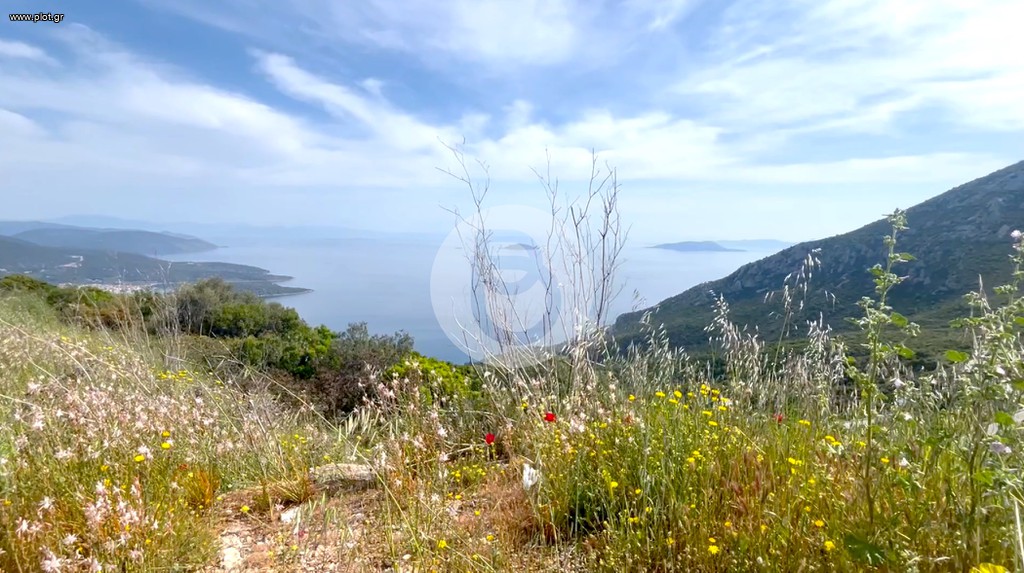 Μονοκατοικία 240 τ.μ. προς πώληση, Αργολίδα, Επίδαυρος