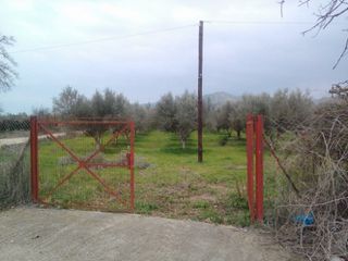 Αγροτεμάχια 4.000 τ.μ. για πώληση, Αργολίδα, Λέρνα-thumb-5