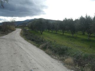 Αγροτεμάχια 4.000 τ.μ. για πώληση, Αργολίδα, Λέρνα-thumb-8