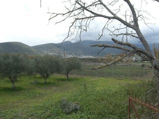 Αγροτεμάχια 4.000 τ.μ. για πώληση, Αργολίδα, Λέρνα-thumb-9