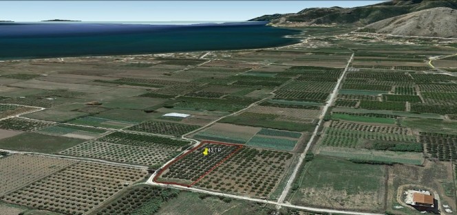 Αγροτεμάχια 4.000 τ.μ. πρός πώληση, Αργολίδα, Λέρνα