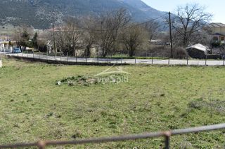 Οικόπεδο 500 τ.μ. για πώληση, Ν. Ιωαννίνων, Πέραμα-thumb-8