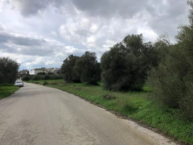 Οικόπεδο 3.800 τ.μ. πρός πώληση, Ν. Ηρακλείου, Γορτύνα