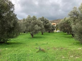 Οικόπεδο 3.800 τ.μ. πρός πώληση, Ν. Ηρακλείου, Γορτύνα-thumb-2