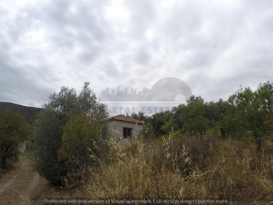 Αγροτεμάχια 399 τ.μ. πρός πώληση, Μαγνησία, Βόλος