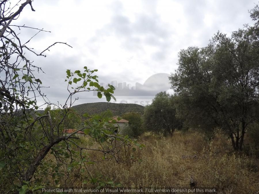 Αγροτεμάχια 399 τ.μ. πρός πώληση, Μαγνησία, Βόλος