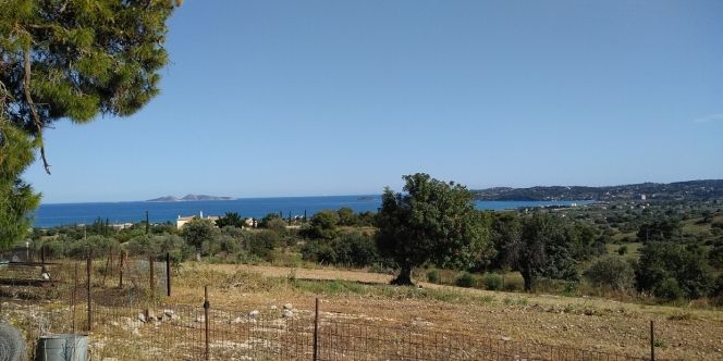 Parcel 41.175 sqm for sale, Argolis, Kranidi