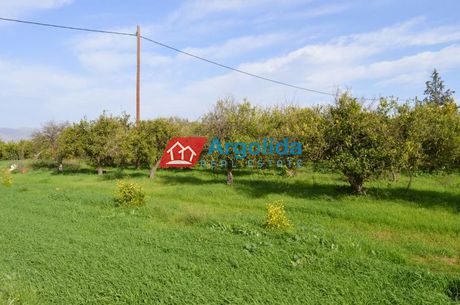 Αγροτεμάχια 2.352τ.μ. για πώληση-Μιδέα » Αργολικό