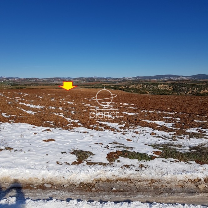 Αγροτεμάχια 27.000 τ.μ. προς πώληση, Νέα Τρίγλια