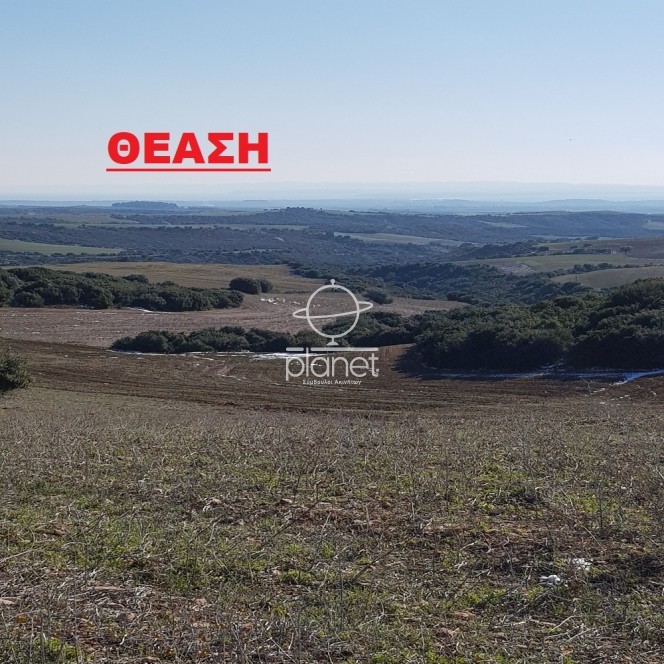 Αγροτεμάχια 27.000 τ.μ. προς πώληση, Νέα Τρίγλια