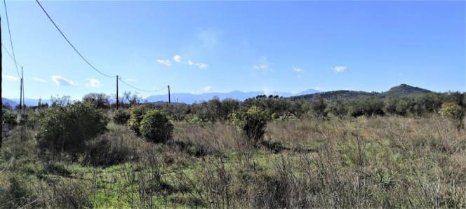 Αγροτεμάχια 4.649 τ.μ. προς πώληση, Άγιος Αδριανός