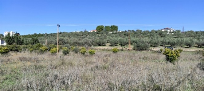 Αγροτεμάχια 4.649 τ.μ. προς πώληση, Άγιος Αδριανός