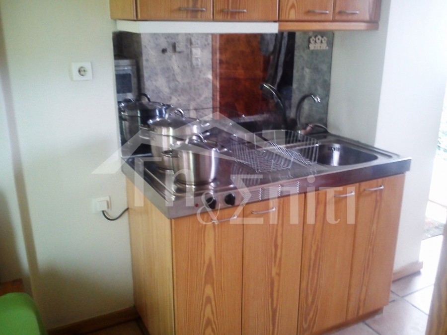 Studio / γκαρσονιέρα 28 τ.μ. προς ενοικίαση, Κάτω Νεοχωρόπουλο