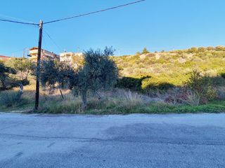Οικόπεδο 257 τ.μ. για πώληση, Ν. Καβάλας, Θάσος-thumb-2