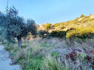 Οικόπεδο 257 τ.μ. για πώληση