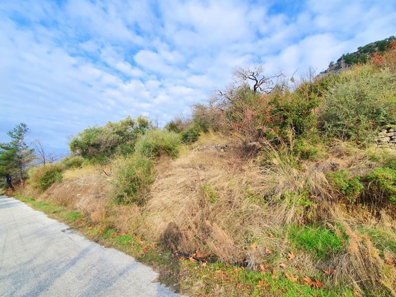 Parcel 1.293 sqm for sale, Kavala Prefecture, Thasos