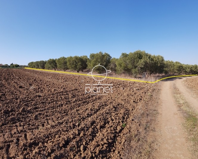 Αγροτεμάχια 5.320 τ.μ. προς πώληση, Κέντρο Επανομής