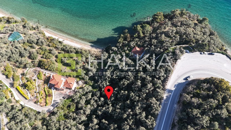 Οικόπεδο 5.648 τ.μ. πρός πώληση, Μαγνησία, Μηλιές