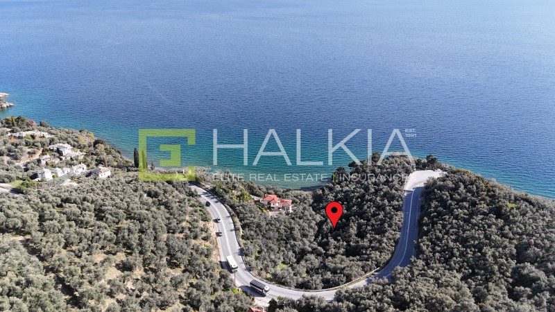 Οικόπεδο 5.648 τ.μ. πρός πώληση, Μαγνησία, Μηλιές