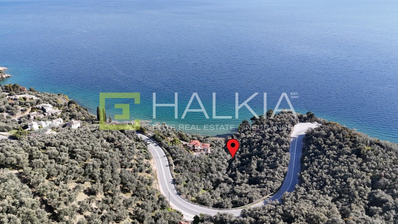 Οικόπεδο 5.648 τ.μ. πρός πώληση, Μαγνησία, Μηλιές