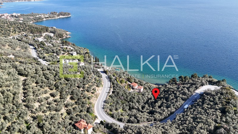 Οικόπεδο 5.648 τ.μ. πρός πώληση, Μαγνησία, Μηλιές