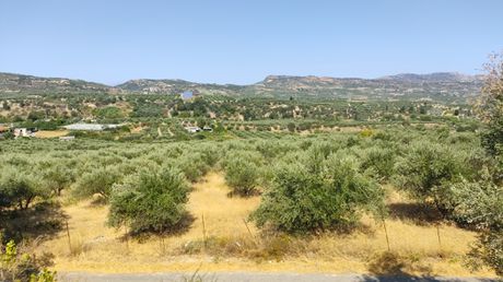Οικόπεδο 4.118 τ.μ. για πώληση