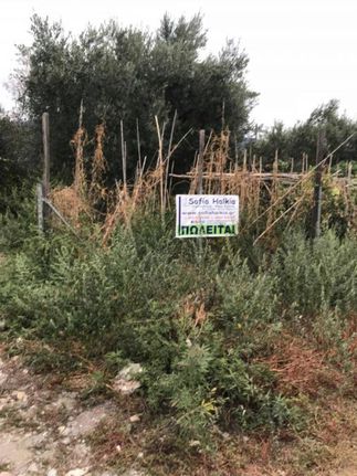 Land plot 2.175 sqm for sale, Magnesia, Agria