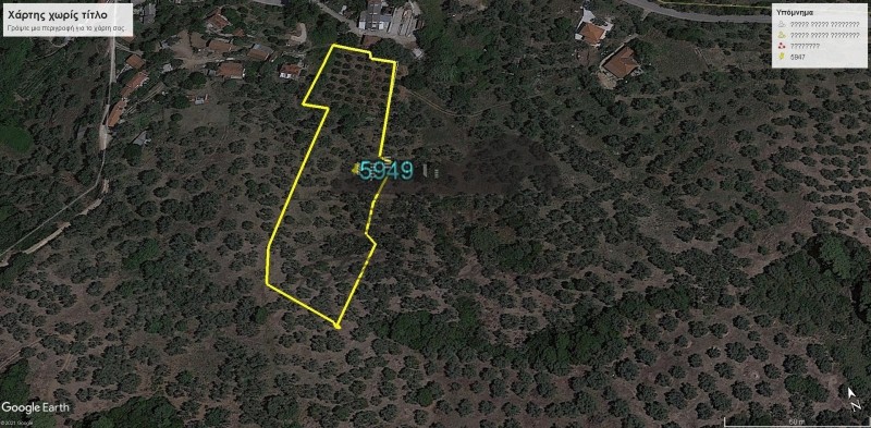 Οικόπεδο 5.949 τ.μ. πρός πώληση, Μαγνησία, Σηπιάδα