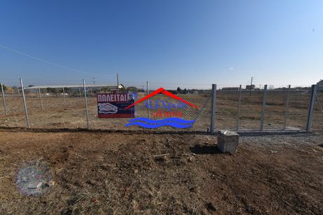 Αγροτεμάχια 100 τ.μ. για ενοικίαση