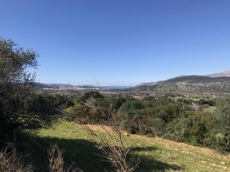 Parcel 4.911sqm for sale-Kefalonia » Argostoli