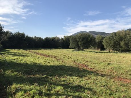 Αγροτεμάχια 3.573 τ.μ. για πώληση