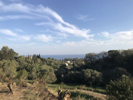 Αγροτεμάχια 2.177 τ.μ. για πώληση