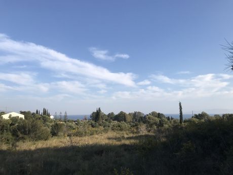 Αγροτεμάχια 2.157 τ.μ. για πώληση
