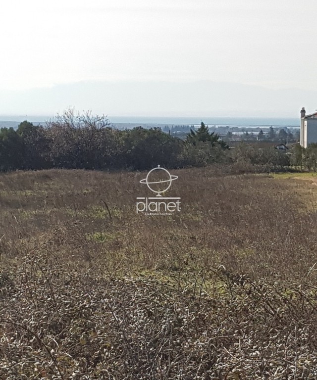Αγροτεμάχια 3.830 τ.μ. προς πώληση, Κέντρο Επανομής