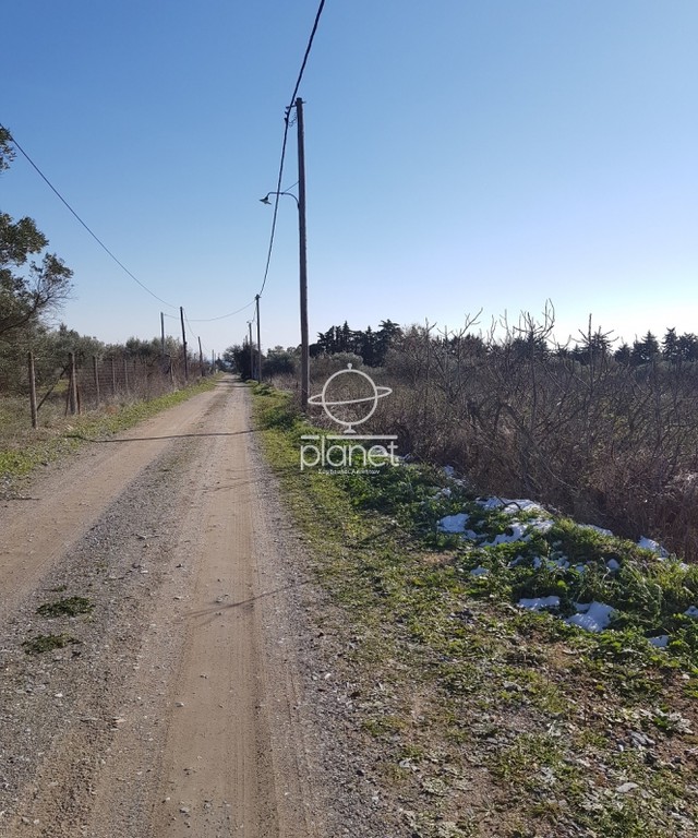 Αγροτεμάχια 3.830 τ.μ. προς πώληση, Κέντρο Επανομής