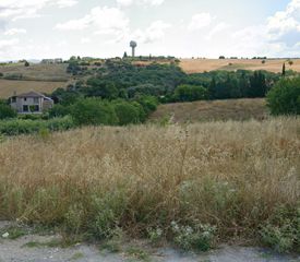 Αγροτεμάχια 7.125 τ.μ. για πώληση