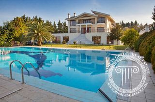 Villa 1.000 sqm for sale