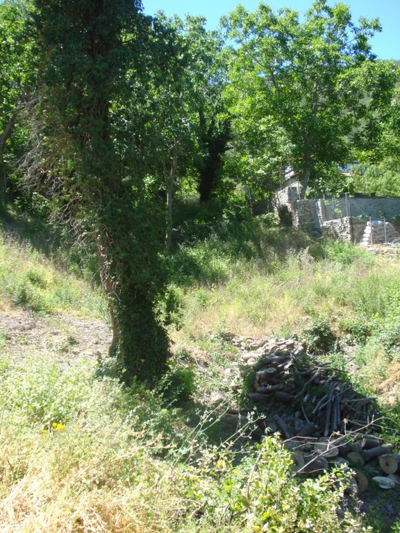 Οικόπεδο 966 τ.μ. προς πώληση, Μικρός Πρίνος