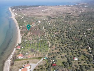 Αγροτεμάχια 15.411 τ.μ. για πώληση, Ν. Καβάλας, Θάσος-thumb-2