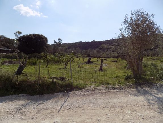 Parcel 4.704 sqm for sale, Kefallinia Prefecture, Kefalonia