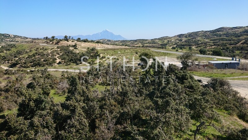 Οικόπεδο 500 τ.μ. προς πώληση, Σκάλα Συκέας
