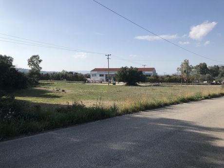 Αγροτεμάχια 4.348 τ.μ. πρός πώληση