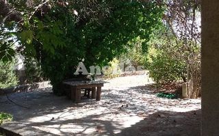 Οικόπεδο 11.000 τ.μ. προς ενοικίαση, Κέντρο Σταμάτας-thumb-10