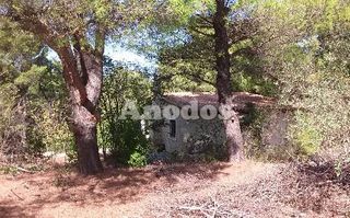 Οικόπεδο 11.000 τ.μ. προς ενοικίαση, Κέντρο Σταμάτας-thumb-12
