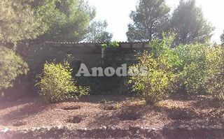 Οικόπεδο 11.000 τ.μ. προς ενοικίαση, Κέντρο Σταμάτας-thumb-13