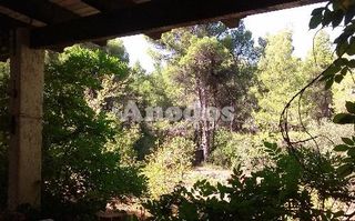 Οικόπεδο 11.000 τ.μ. προς ενοικίαση, Κέντρο Σταμάτας-thumb-14