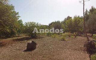 Οικόπεδο 11.000 τ.μ. προς ενοικίαση, Κέντρο Σταμάτας-thumb-16